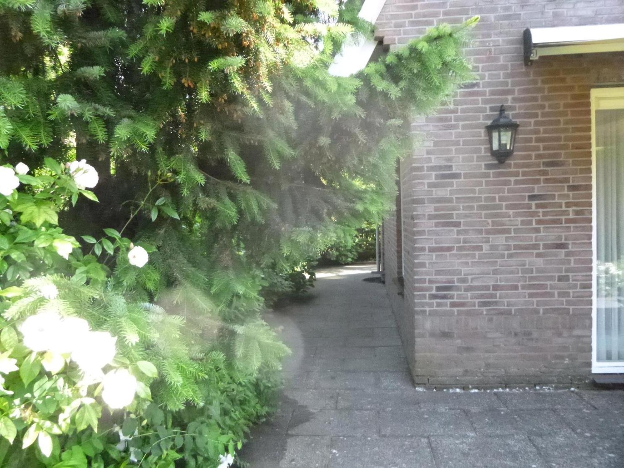 Vakantiehuis Luxusbungalow Duinvilla Noordwijk